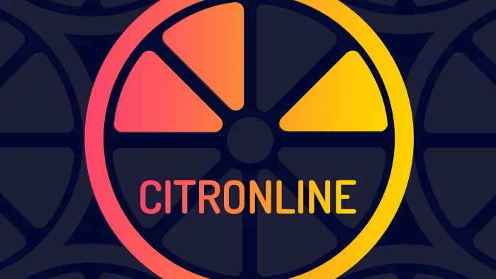 CitrOnline 線上商店業主的混合電子商務解決方案