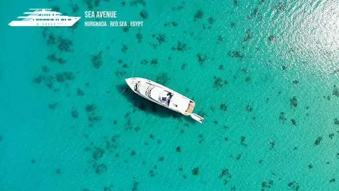Sea Avenue luxury charter boat in Egypt